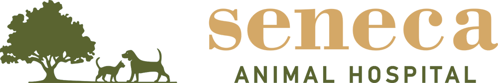 Seneca Animal Hospital